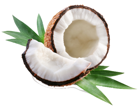 Pure C8 MCT oil MCT coconut oil medium chain triglyceride oil bulk supply,mct oil,what is mct oil,mct oil benefits,mct oil walmart,best mct oil,mct coconut oil,mct oil in coffee,onnit mct oil,mct oil gnc,mct oil vs coconut oil,mct oil amazon,mct oil side effects,mct oil weight loss,mct oil keto,mct oil powder,mct oil whole foods,bulletproof mct oil,emulsified mct oil,c8 mct oil,how to use mct oil,mct oil onnit,mct oil reviews,now mct oil,where to buy mct oil,organic mct oil,sports research mct oil,medium chain triglyceride oilbest mct oil brands,mct oil uses,what does mct oil do,mct oil sprouts,quest mct oil powder,mct oil vitamin shoppe,how much mct oil per day,what is mct oil used for,now sports mct oil,mct oil trader joe's,mct oil diarrhea,mct oil nutrition facts,mct oil calories,mct oil nutrition,how to use mct oil for weight loss,nature's way mct oil,what is mct oil good for,cooking with mct oil,bulletproof coffee mct oil,mct oil recipes,difference between mct oil and coconut oil,is mct oil good for you,mct oil walgreens,how to take mct oil,mct oil dosage,now foods mct oil,best mct oil for keto,health benefits of mct oil,buy mct oil,mct oil coconut oil,mct oils,mct oil and weight loss,whats mct oil,pure mct oil,quest nutrition mct oil powder,brain octane vs mct oil,where can i buy mct oil,mct oil capsules,mct oil weight loss results,can you cook with mct oil,mct oil coffee,mct oil costco,when to take mct oil,mct oil near me,mct oil before bed,where to buy mct oil near me,onnit emulsified mct oil,mct vs coconut oil,left coast mct oil,perfect keto mct oil powder,now mct oil reviews,brain octane mct oil,xct oil vs mct oil,mct oil heb,gnc mct oil,mct oil wiki,numedica mct oil,nutiva mct oil,mct oil for skin,mct oil weight loss reviews,mct oil for constipation,mct oil kroger,mct oil for dogs,coconut oil vs mct oil,what is mct coconut oil,is mct oil safe,mct oil pills,mct oil cvs,flavored mct oil,jarrow mct oil,viva mct oil,